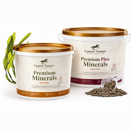 Mineral-Duo (Eimer 3 kg)
