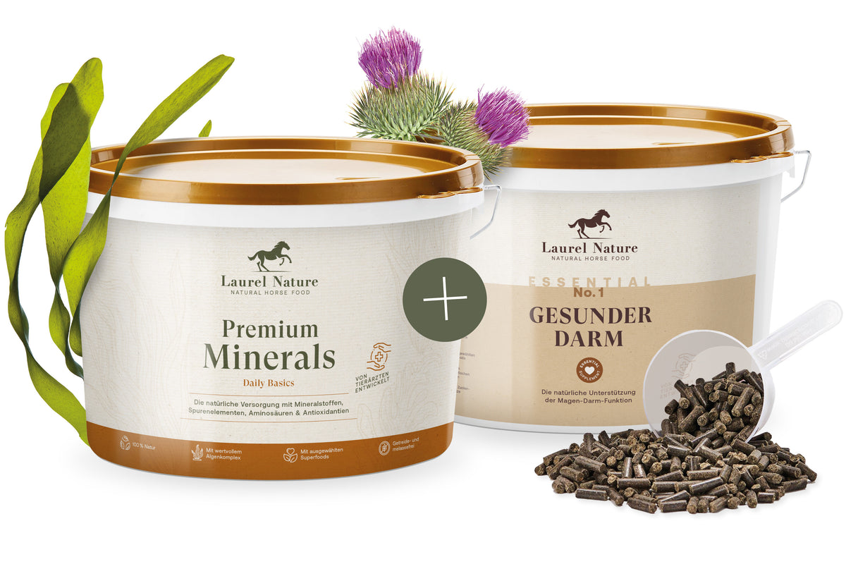 Magen-Darmwohl-Duo 3kg