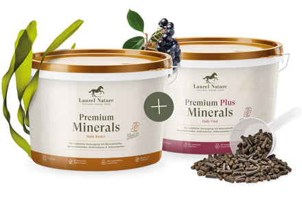 Mineral-Duo (Eimer 1,5 kg)
