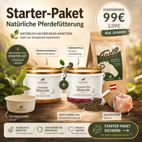 Starter-Paket